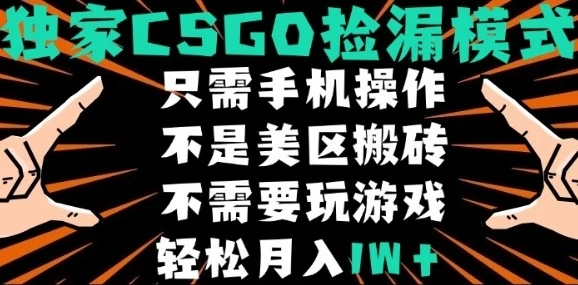 CSGO自动捡漏项目,最新独家玩法,不是美区搬砖,不需要了解和玩游戏,新手小白轻松月入1W+【揭秘】 CSGO自动捡漏项目,最新独家玩法,不是美区搬砖,不需要了解和玩游戏,新手小白轻松月入1W+【揭秘】