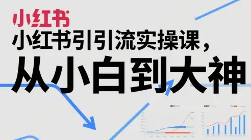小红书引流实操课，从小白到大神