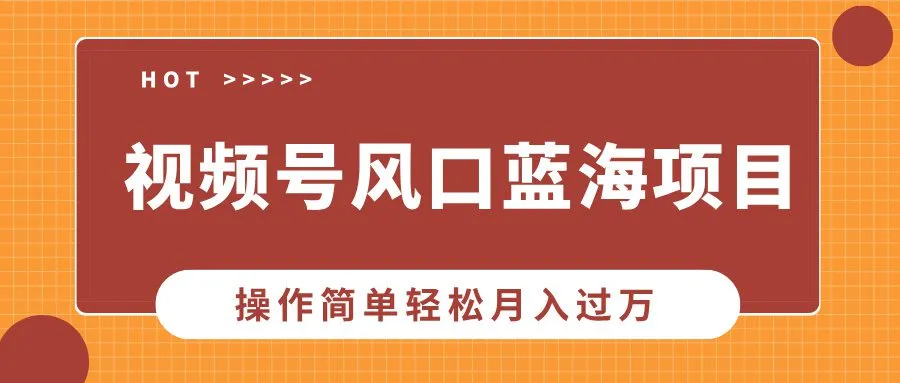 视频号风口蓝海项目,中老年人的流量密码,操作简单轻松月入过万 视频号风口蓝海项目,中老年人的流量密码,操作简单轻松月入过万