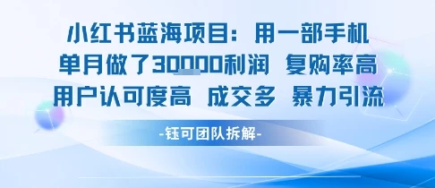 小红书蓝海项目，一部手机单月做了3W利润，小白也能月入过1W用户认可度高成交多
