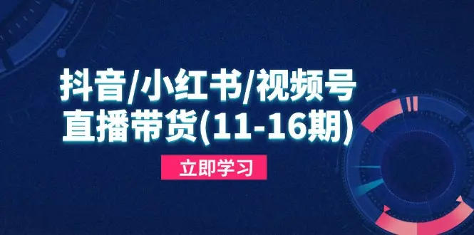 抖音/小红书/视频号/直播带货(11-16期 抖音/小红书/视频号/直播带货(11-16期