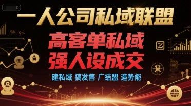 【精】一人公司私域联盟，高客单私域，强人设成交，建私域 搞发售 广结盟 造势能